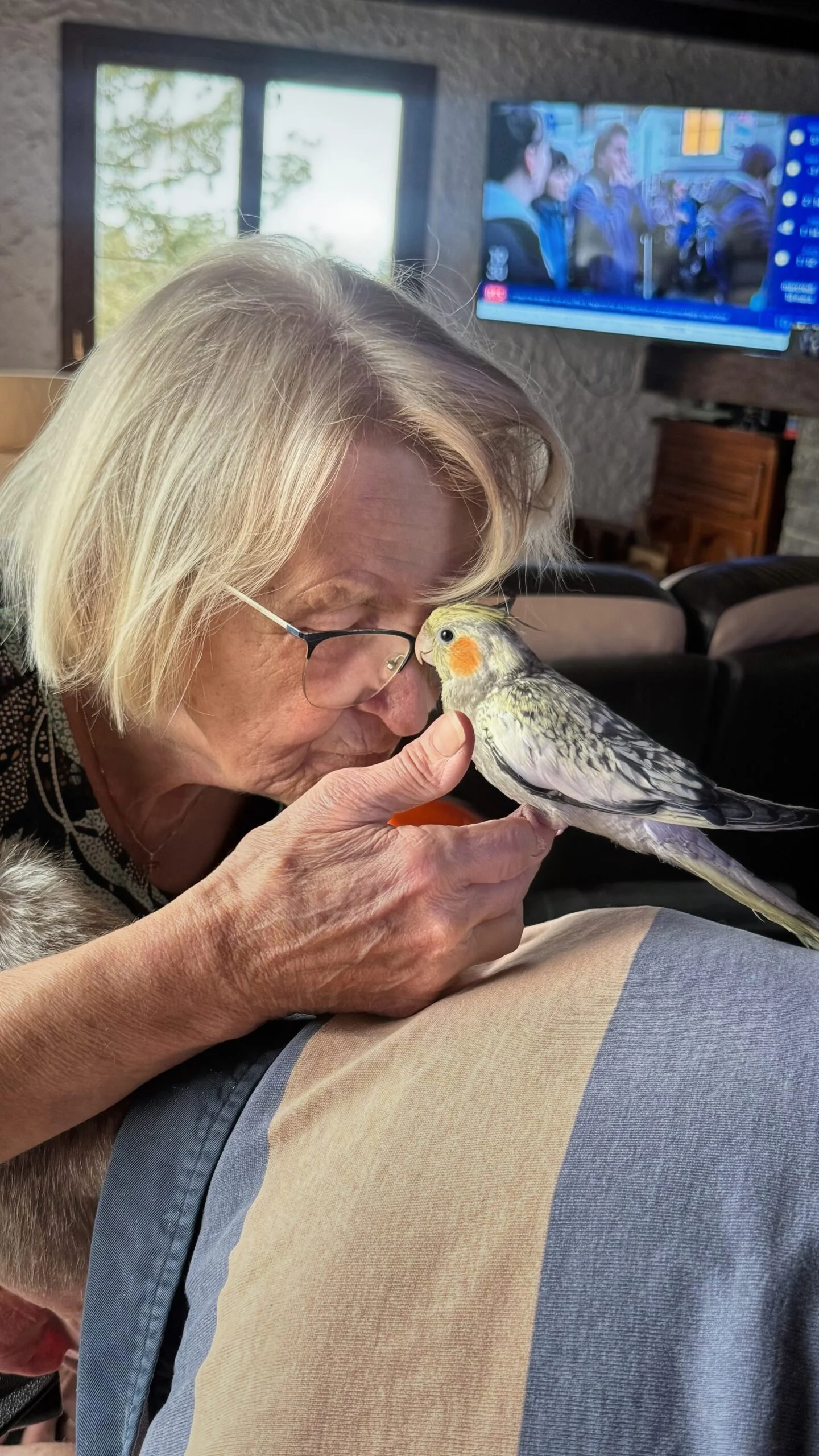 Personne âgée avec Arya, la calopsitte