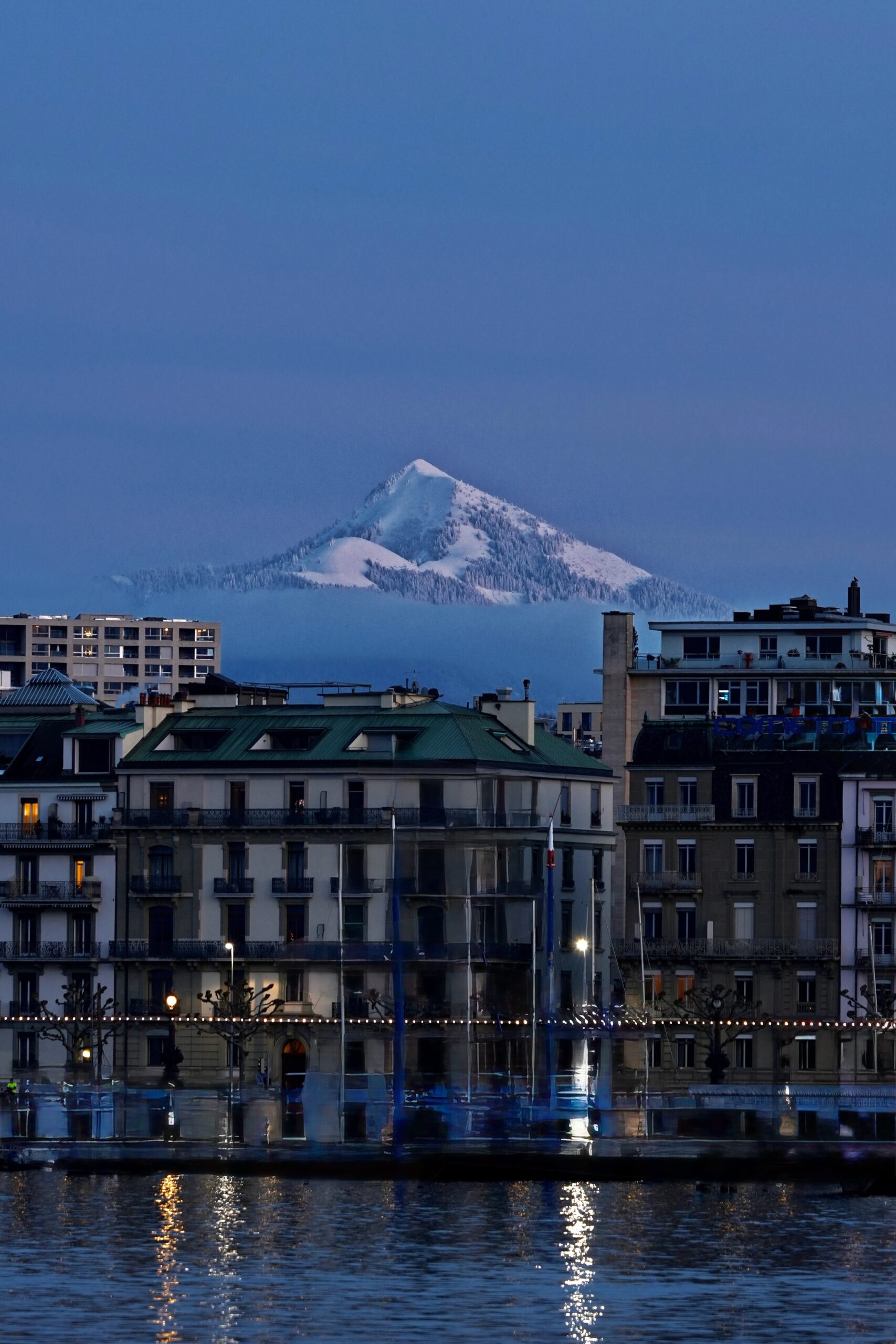 Libelula, soins infirmiers et approches holistiques à domicile à Genève